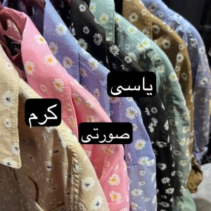 شومیز بابونه
